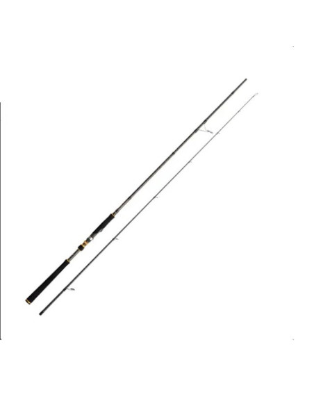 Cinnetic Raycast XBR 3.00m M SeaBass Light Game